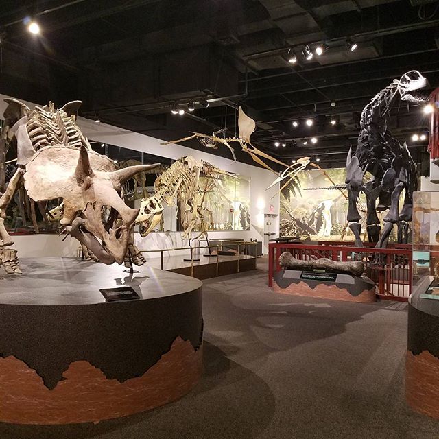 Arizona Museum of Natural History